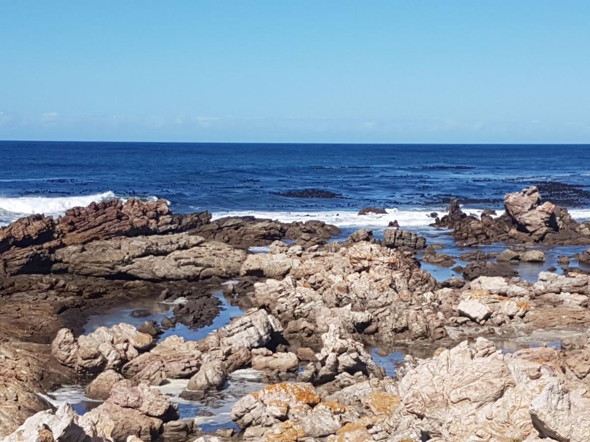 Corban Cottage Hermanus Exterior photo